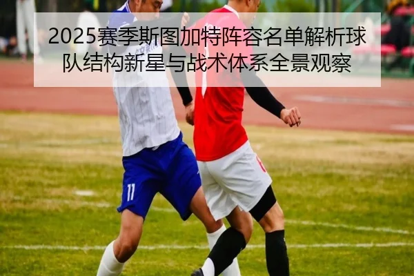 2025赛季斯图加特阵容名单解析球队结构新星与战术体系全景观察