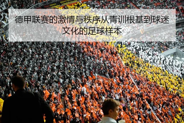德甲联赛的激情与秩序从青训根基到球迷文化的足球样本